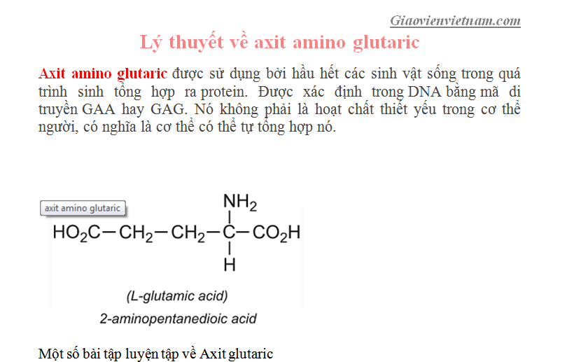 Axit amino glutaric - Full lý thuyết và bài tập