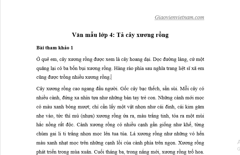 Văn mẫu tả cây xương rồng - Giáo viên Việt Nam Tiếng việt lớp 4