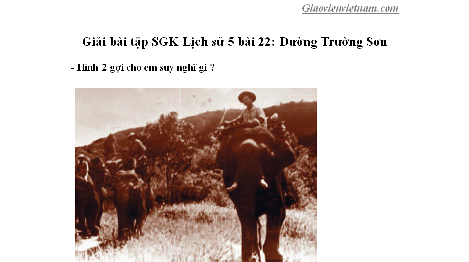 Giải bài tập SGK Lịch sử 5 bài 22: Đường Trường Sơn