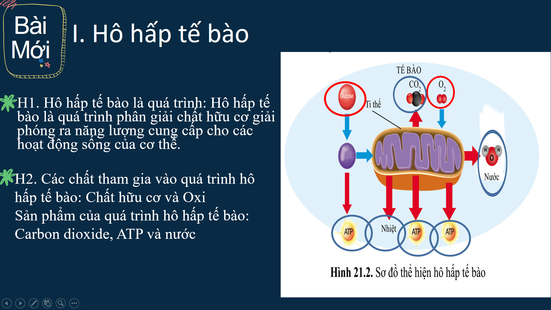 Giáo Án PowerPoint Môn Sinh Lớp 7 Cánh Diều Cả Năm